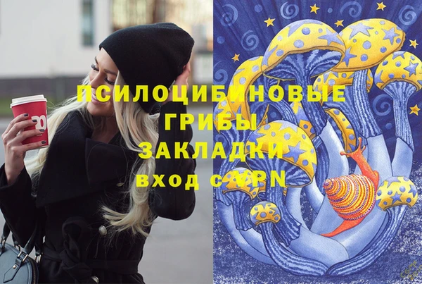 дурь Алексин